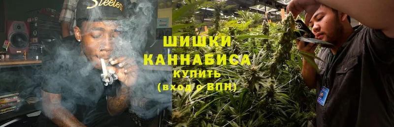 Каннабис White Widow  Асино 